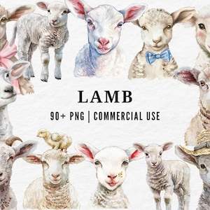 Lamb Clipart, Watercolor Farm Animal PNG, Cute Sheep Illustration, Whimsical Pasture Art, Adorable Baby Lamb Clipart, Spring Farmyard Set