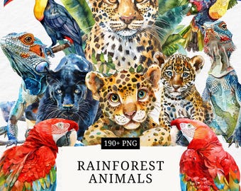 Imágenes prediseñadas de animales de la selva tropical: fauna silvestre PNG, arte tropical (descarga digital)