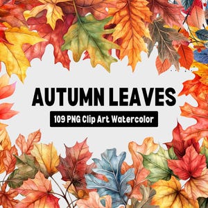 Watercolor Autumn Leaves Clipart: Fall Art PNG (Digital Download)