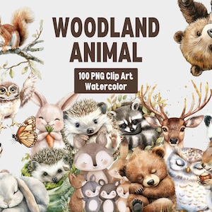 Watercolor Woodland Animals Clipart, Forest Animal Illustration, Digital Wildlife Clipart, Bunnies Fox Deer, Cute Animal Art, Commercial Use