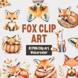 Watercolor Foxes Clipart, Baby Fox Illustration, Digital Fox Clipart, Cute Fox PNG, Woodland Animal Clipart, Forest Fox Art, Commercial Use