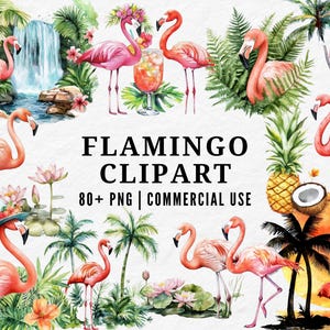 Flamingo Clipart, Pink Bird PNG, Tropical Flamingo Illustration, Exotic Bird Art, Summer Animal Clipart, Water Bird Drawing, Beach Theme Set