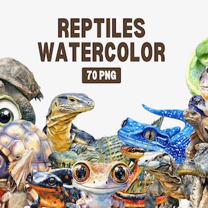 Cute Reptile Boho Clipart | Watercolor Reptiles Clipart | Nursery Animal Clipart | Snake Clipart | Chameleon Clipart | Jungle Animals PNG