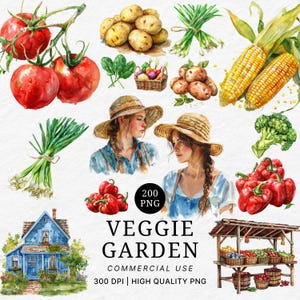 Veggie Garden Clipart Set: Farm Fresh PNG Illustrations (Digital Download)