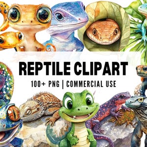 Reptile Clipart, Watercolor Reptile PNG, Lizard Illustration, Snake Clipart, Tortoise Art, Jungle Animals, Cute Reptiles, Herpetology PNG