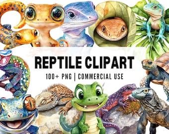 Watercolor Reptile Clipart: Lizard, Snake, Tortoise (PNG Digital Download)