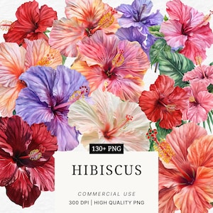 Tropical Hibiscus Flower Clipart Set: Exotic Blossom PNG (Digital Download)