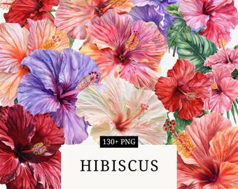 Tropical Hibiscus Flower Clipart Set: Exotic Blossom PNG (Digital Download)