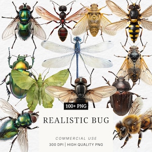 May include: A digital illustration showcasing various realistic insects, such as flies, ants, beetles, and a dragonfly. The image includes the text "100+ PNG" and "REALISTIC BUG". The image is labeled "COMMERCIAL USE" and "300 DPI | HIGH QUALITY PNG".