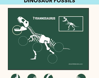 Actividad imprimible de emparejamiento de fósiles de dinosaurios / Rompecabezas Montessori de esqueleto de dinosaurio para niños en edad preescolar (PDF imprimible)