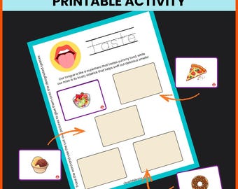 Hojas de trabajo con actividades sobre los cinco sentidos para preescolar/jardín de infancia/Montessori (PDF imprimibles)