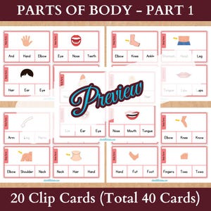 May include: A set of 20 colorful clip cards featuring illustrations of different parts of the human body. The cards are labeled with the names of the body parts, such as "hair", "eye", "nose", "mouth", "ear", "hand", "foot", "leg", "arm", "elbow", "knee", "ankle", "shoulder", "neck", "stomach", "head", "tongue", "lips", "fingers", and "toes". The cards are designed for use in educational settings to help children learn about the human body.