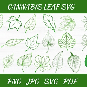 Könnte beinhalten: Grüne Strichzeichnungen verschiedener Blattformen, darunter Cannabisblätter, auf weißem Holzmaserungshintergrund. Der Text "CANNABIS LEAF SVG" steht oben, darunter "PNG JPG SVG PDF".