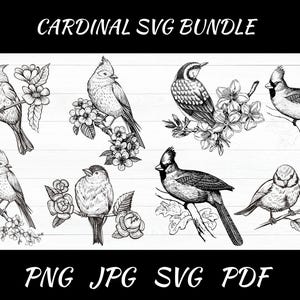Kardinal SVG, Kardinal Vogel zwar, Kardinal Silhouette, Winter Kardinal Aufleger, Kardinal Ornament Aufleger, Kardinal Vektor, Kardinal Png