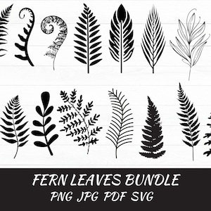 Fern Leaves Svg, Fern Cricut, Fern Svg Bundle, Fern Leaf SVG, Fern Clipart, Boho Svg, Botanical Silhouette, Leaf Silhouette,Instant Download