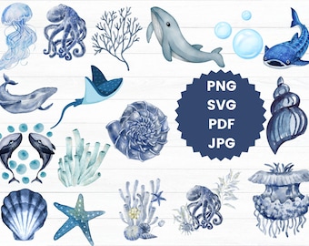 Paquete de imágenes prediseñadas de acuarela submarina: Animales del océano PNG, SVG