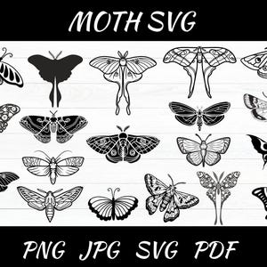 Moth SVG Bundle: Celestial Luna Moth Silhouette Vector (Cricut Files)