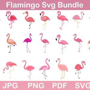 Flamingo SVG Bundle: Bird Cut Files, Clipart (Digital Download)