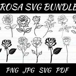 May include: A black and white digital art bundle featuring various rose illustrations. The image includes the text "ROSA SVG BUNDLE" at the top and file type indicators "PNG JPG SVG PDF" at the bottom. The roses are in different styles.