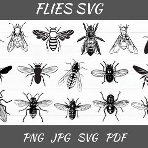 Archivo SVG de mosca: Imágenes prediseñadas de insectos para Cricut, Silhouette
