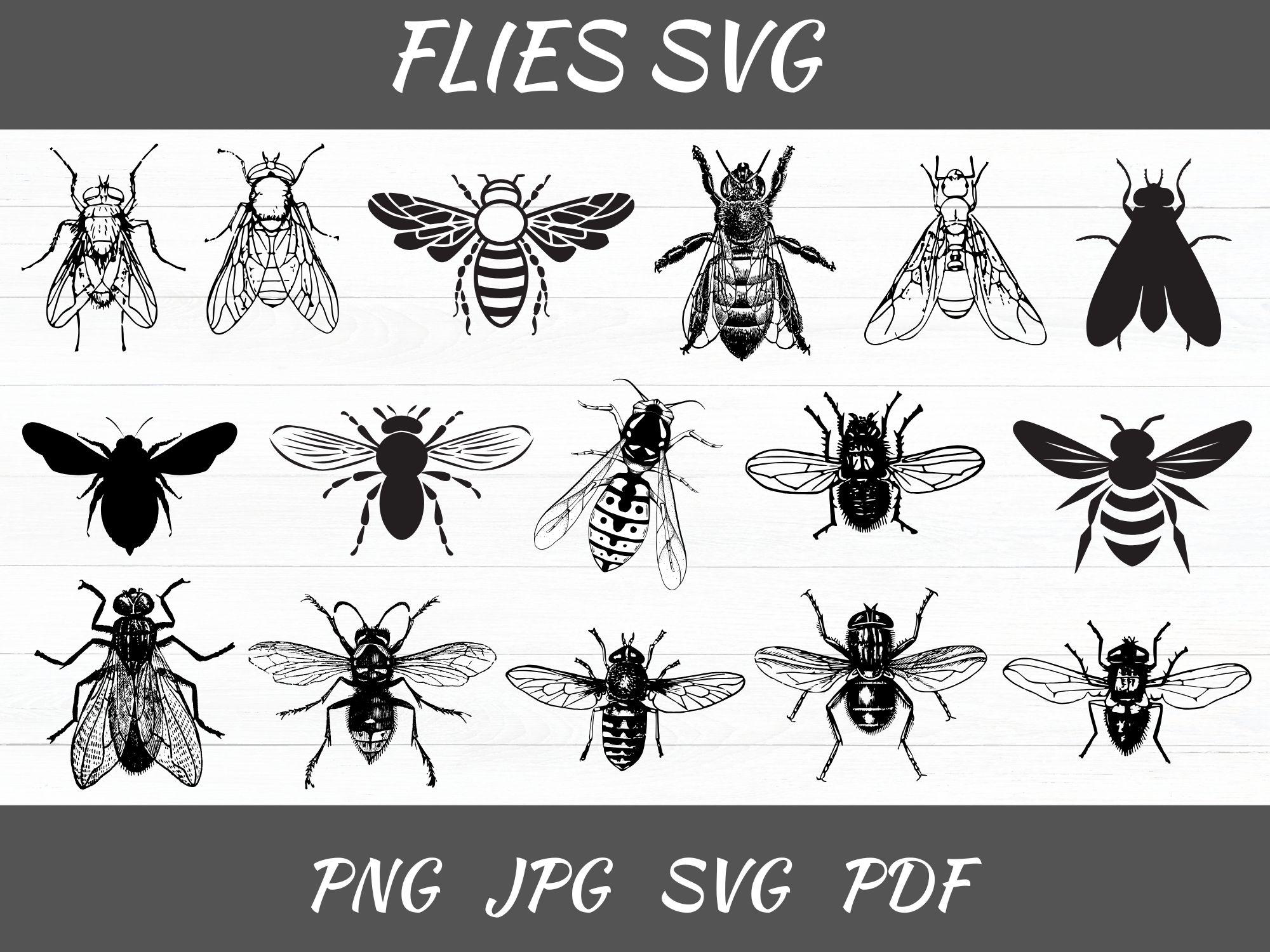 Fly SVG File: Insect Clipart for Cricut, Silhouette - Etsy