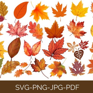 Kürbis und Herbstblätter SVG Bundle, Herbst Cliparts SVG Bundle, Ahornblatt SVG, Herbst Bundle SVG, Herbst Bundle SVG, Cricut, Silhouette