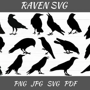 Raven Svg Bundle - Raven Silhouette - Raven Svg - Raven Clipart - Raven Png - Raven Vector - Crow Clipart