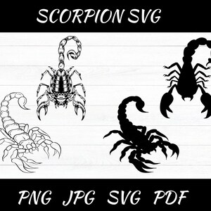 Scorpion SVG,Scorpion Clipart,Scorpion Png,Scorpio SVG File,Scorpion Vector, Cut Files For Silhouette,Instant Download