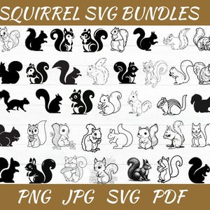 May include: A collection of squirrel-themed SVG bundles in various styles, including silhouettes and detailed line drawings. The image features multiple squirrel designs, with text at the top reading "SQUIRREL SVG BUNDLES" and file type options at the bottom: PNG, JPG, SVG, PDF.