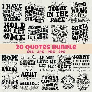 Sarcastic SVG Bundle Funny SVG Funny PNG png designs