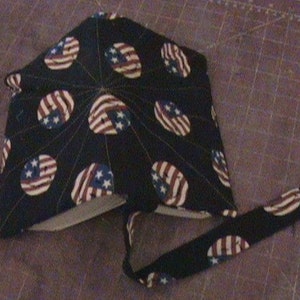 Smiling Flag Bookcover