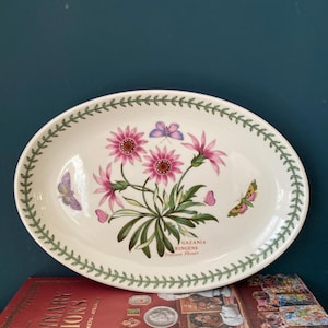 Portmeirion Staffordshire Botanischer Garten Ovale Schale Gazania Ringens