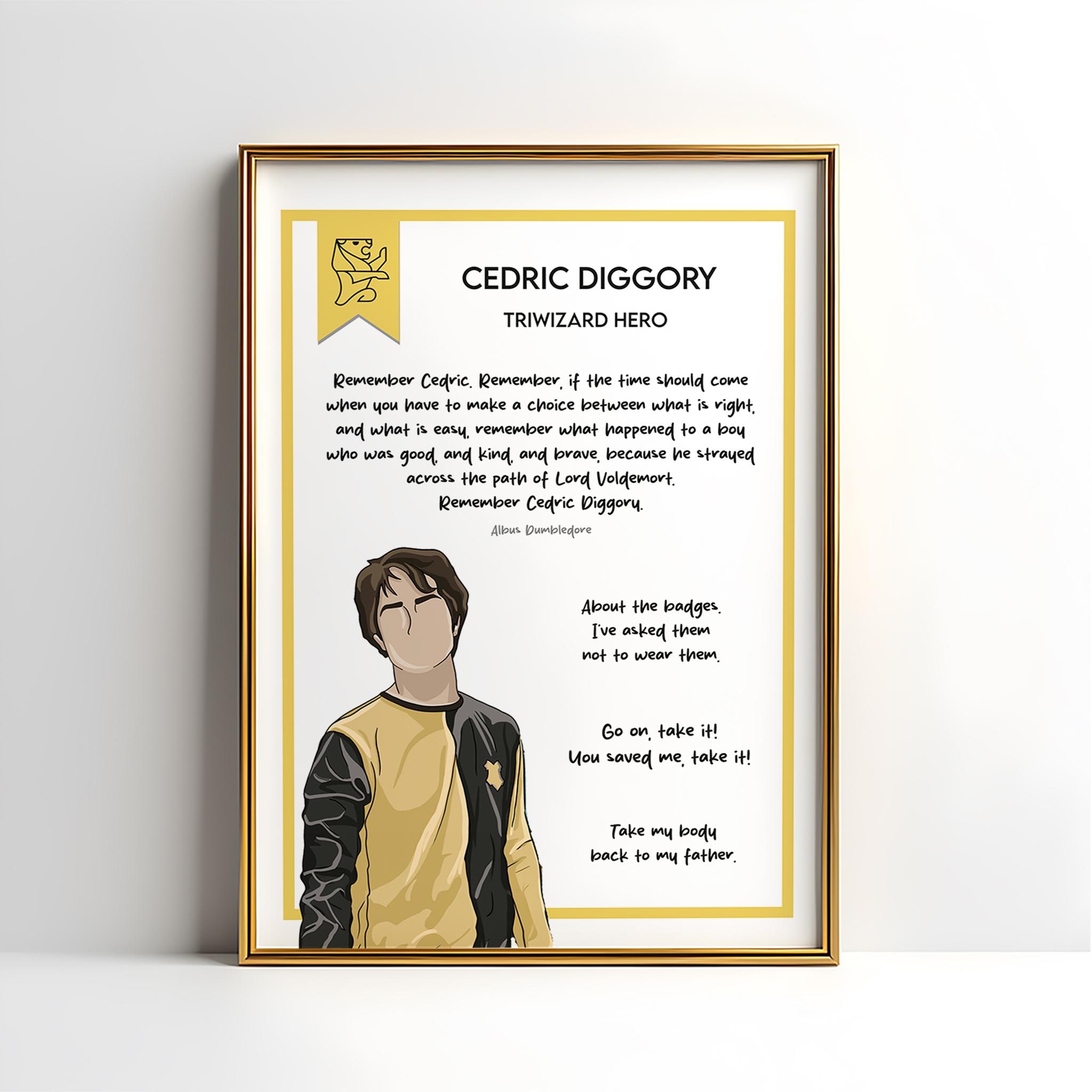 Cedric Ruler Cedric Diggory Gifts