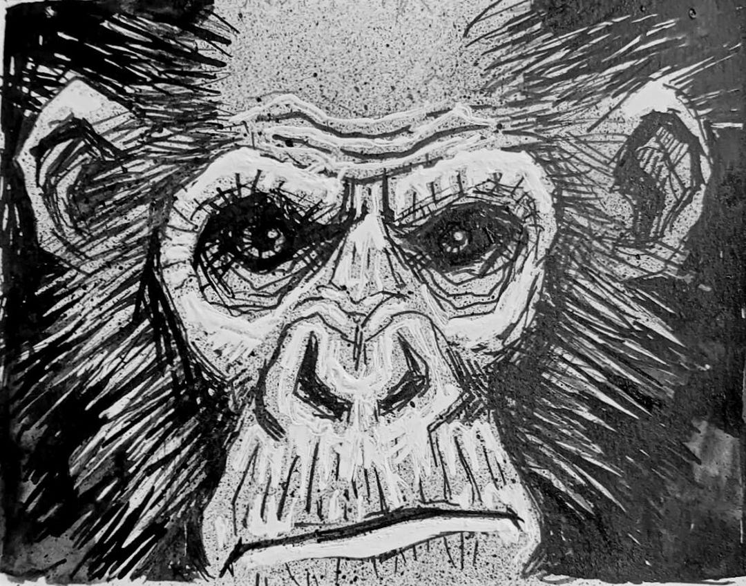 Original Unframed Pen and Ink Drawing: Chimpanzee Study, on 4.75x6 ...