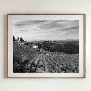 Tuscany Vineyard Print: Black and White Landscape Photo (Digital Download)