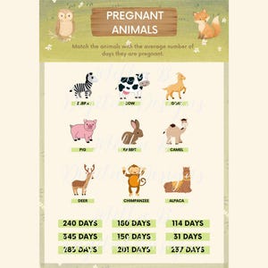 Baby Shower Game: Fun Printable Activity (Instant Download)  - Guess the Pregnant Animal’s Match