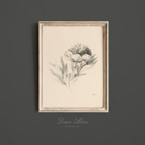 Cottage Botanical Art Print of a blooming flower drawn with graphite pencil on ivory paper and framed in a White Washed Picture Frame | Dear Alice Printable Art
