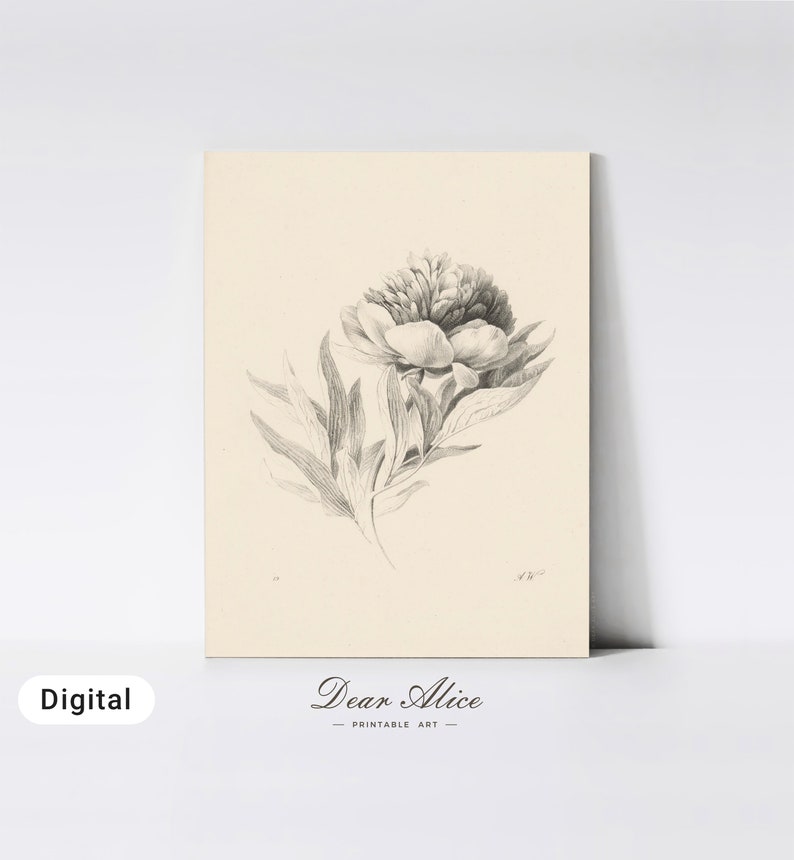 Vintage Flower Digital Print, mounted on a masonite board, leaning on a wall | Dear Alice Farmhouse Wall Art