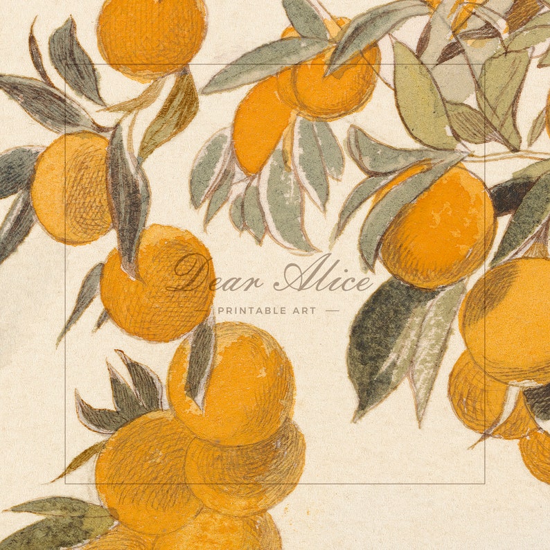 Detail of a Vintage Watercolor Painting made in the 19th century | Orange Tree Painting | Dear Alice Printable Art