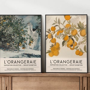 Conjunto de arte de pared de DOS, carteles naranjas, póster de galería de arte IMPRIMIBLE, par de impresiones de arte, conjunto de 2 carteles de arte Orangeraie, decoración de cocinaDA0058 imagen 3