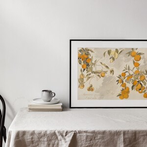 Vintage Printable Art of a study of an orange tree made with pencil and watercolor. Antique Painting  framed and displayed on a table of a farmhouse neutral decor | Dear Alice Wall Art