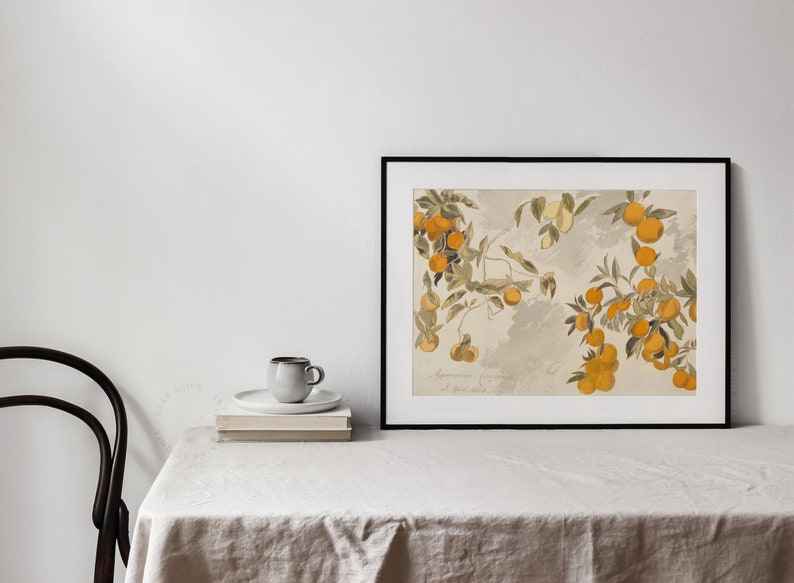 Vintage Printable Art of a study of an orange tree made with pencil and watercolor. Antique Painting  framed and displayed on a table of a farmhouse neutral decor | Dear Alice Wall Art