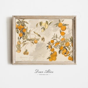 Study of an Orange Tree made with pencil and watercolor. Still Life Digital Art Print framed in an Antique White Washed Picture Frame | Dear Alice Downloadable Art