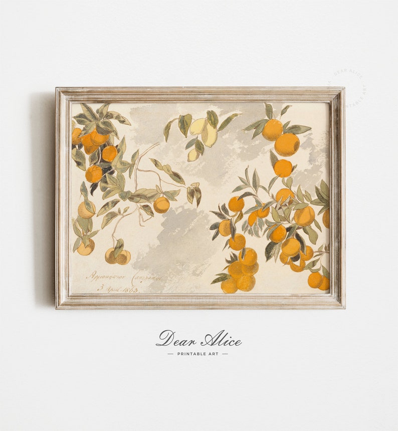 Study of an Orange Tree made with pencil and watercolor. Still Life Digital Art Print framed in an Antique White Washed Picture Frame | Dear Alice Downloadable Art
