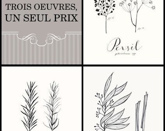 Trois HERBES Collection -Art Culinaire-