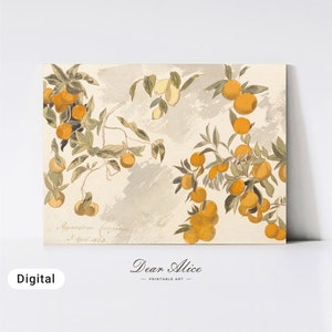 Still Life Watercolor Painting of an orange tree made in 1800s and mounted on a wood board | Dear Alice Printable Art