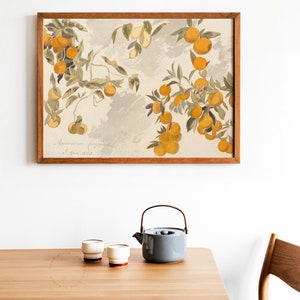 Vintage Still life Study of Oranges and citrus branches, painted in watercolor and pencil in the late 1800s, hung on the wall of a minimalist dinning room decor. | Dear Alice Printable Art