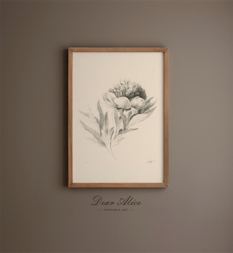 Botanical Drawing of a beautiful Flower drawn with pencil over a cream graphite paper, framed in a Rustic Natural Wood Frame on a brown wall | Dear Alice Digital Art