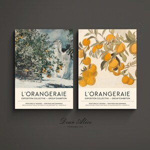 Conjunto de arte de pared de DOS, carteles naranjas, póster de galería de arte IMPRIMIBLE, par de impresiones de arte, conjunto de 2 carteles de arte Orangeraie, decoración de cocinaDA0058 imagen 4