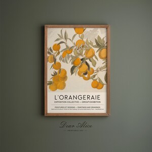 Conjunto de arte de pared de DOS, carteles naranjas, póster de galería de arte IMPRIMIBLE, par de impresiones de arte, conjunto de 2 carteles de arte Orangeraie, decoración de cocinaDA0058 imagen 6